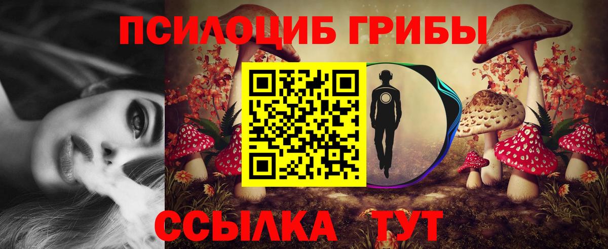Мариинск  Псилоцибиновые грибы Psilocybine cubensis  Вход с VPN 